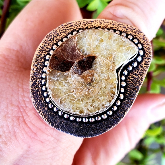 New Unique Oversized Ammonite 925 Silver Ring. - Picture 6 of 13